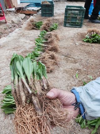 황덕순 님의 자유주제 · 자유게시판 작성글 사진