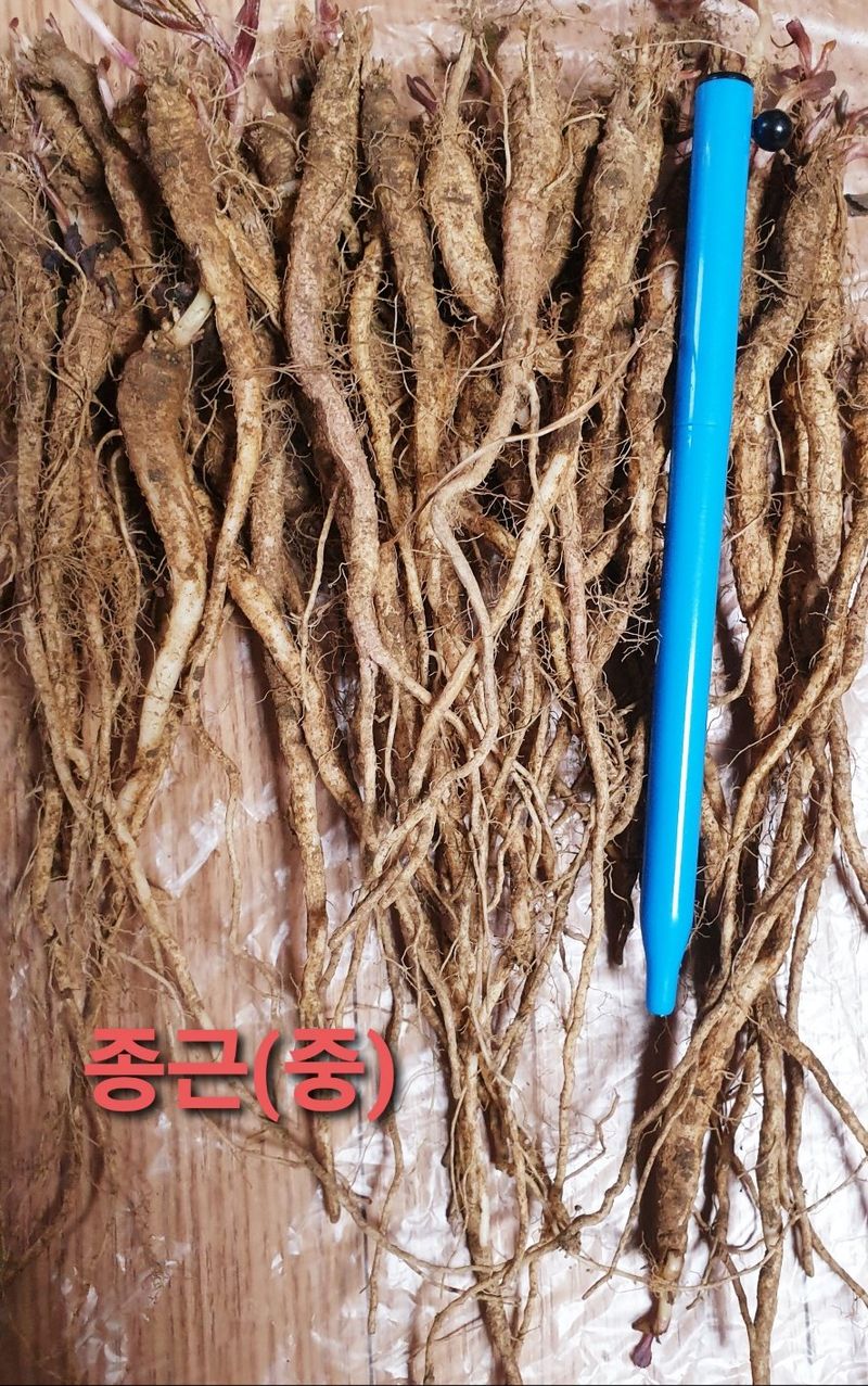 이영애 님의 장터 판매 상품 [약용잔대 7년근 1kg] 첨부 사진