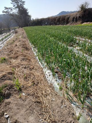 포도15320님의 자유주제 · 자유게시판 작성글 사진