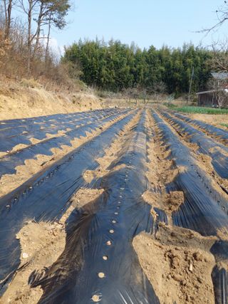 양김정숙님의 자유주제 · 자유게시판 작성글 사진