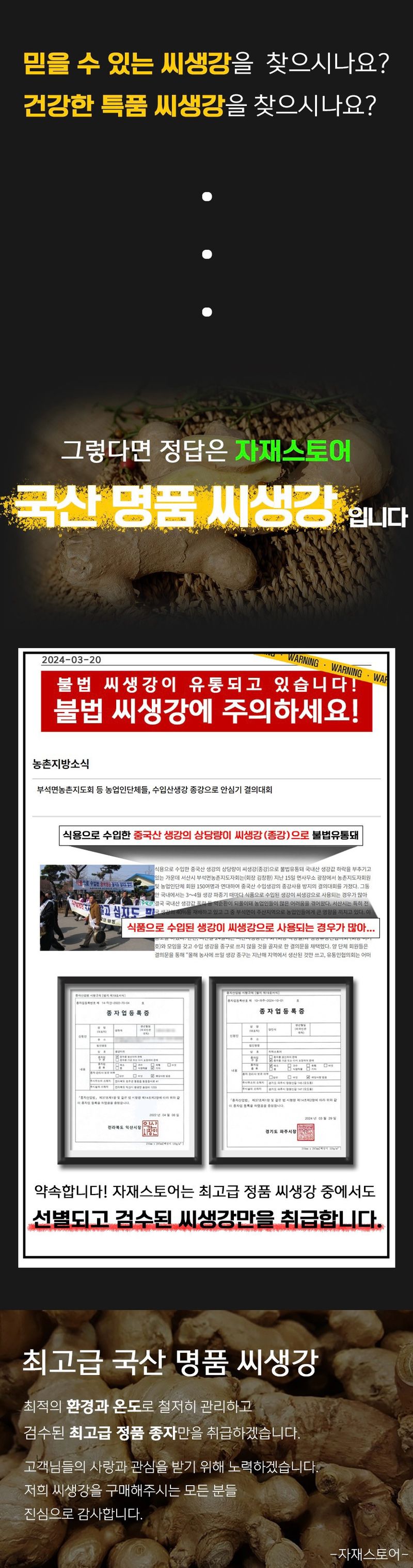 자재스토어님의 장터 판매 상품 [씨생강 생강종자 종자용생강 국산 1kg 3kg 5kg 10kg] 첨부 사진