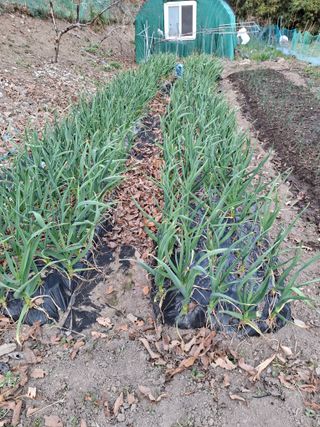 박정미님의 자유주제 · 자유게시판 작성글 사진