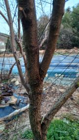 팜모닝 자유주제·자유게시판 게시글 이미지