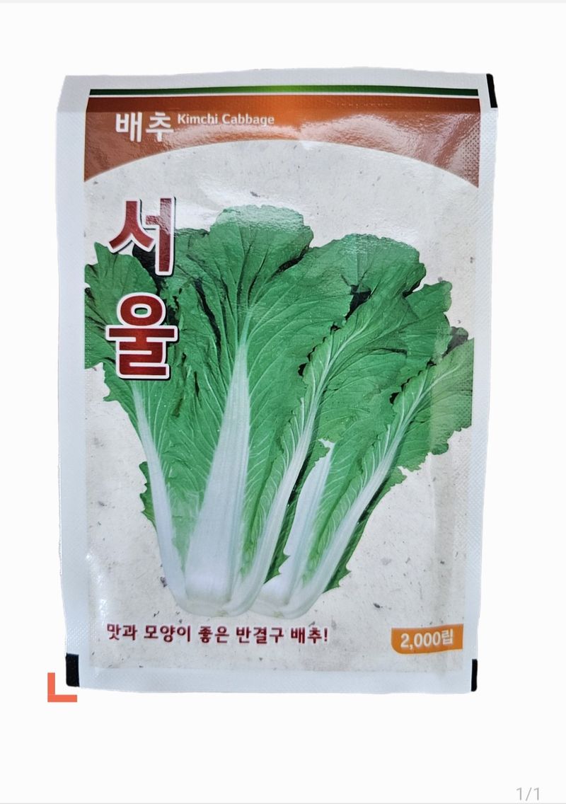 장터 상품 [서울배추씨앗 2,000립] 썸네일
