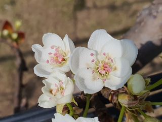하나라도 소중하게님의 자유주제 · 자유게시판 작성글 사진