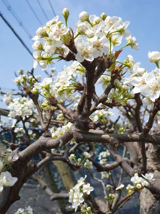 하나라도 소중하게님의 자유주제 · 자유게시판 작성글 사진
