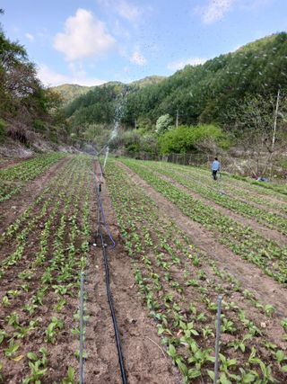 황덕순 님의 자유주제 · 자유게시판 작성글 사진