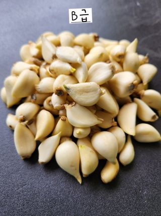 해풍님의 작성글 사진