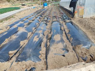 양김정숙님의 자유주제 · 자유게시판 작성글 사진