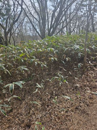 제주 지안이네농장님의 자유주제 · 자유게시판 작성글 사진