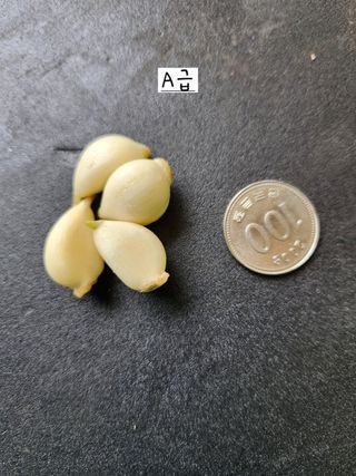 해풍님의 작성글 사진