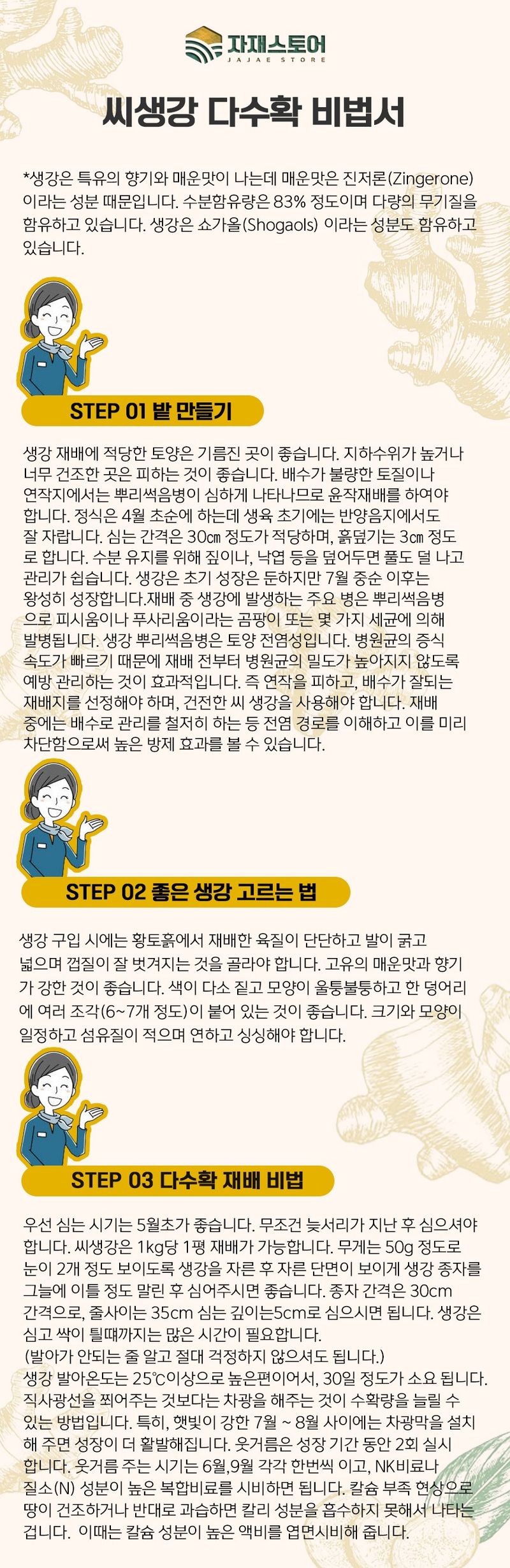 자재스토어님의 장터 판매 상품 [씨생강 생강종자 종자용생강 국산 1kg 3kg 5kg 10kg] 첨부 사진