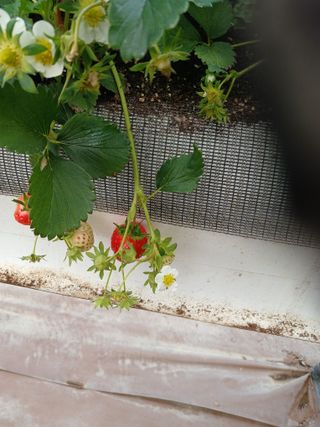 알 수 없음님의 자유주제 · 자유게시판 작성글 사진