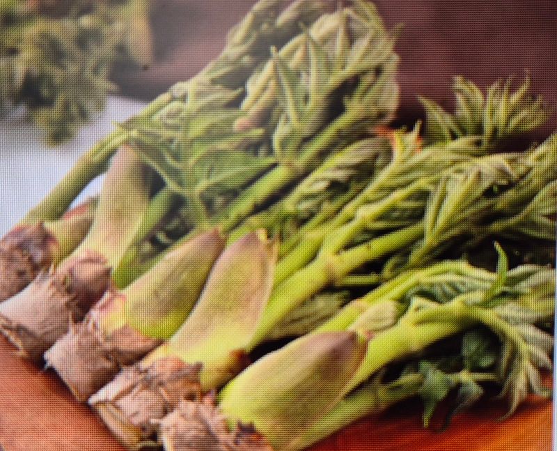 장터 상품 [참두릅1kg] 썸네일