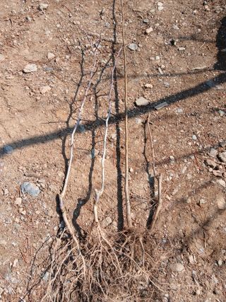 인생은 소풍처럼님의 자유주제 · 자유게시판 작성글 사진