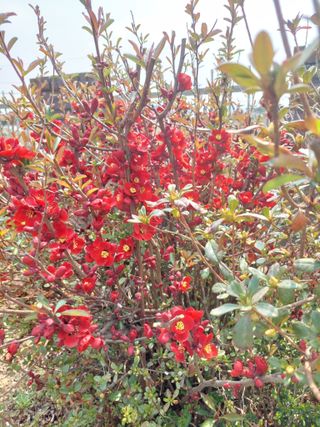 양김정숙님의 자유주제 · 자유게시판 작성글 사진