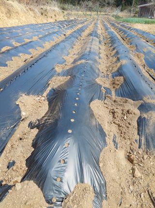 양김정숙님의 자유주제 · 자유게시판 작성글 사진