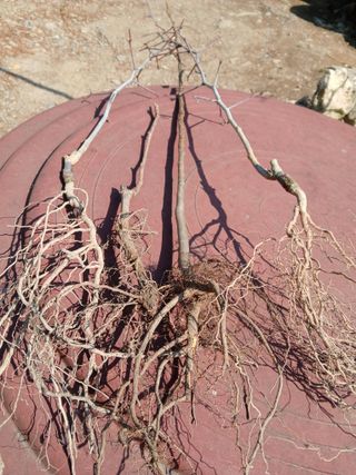 인생은 소풍처럼님의 자유주제 · 자유게시판 작성글 사진