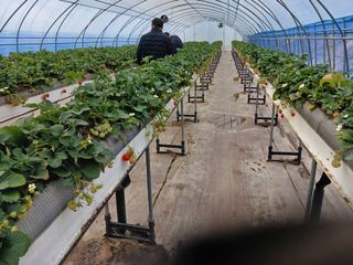 알 수 없음님의 자유주제 · 자유게시판 작성글 사진