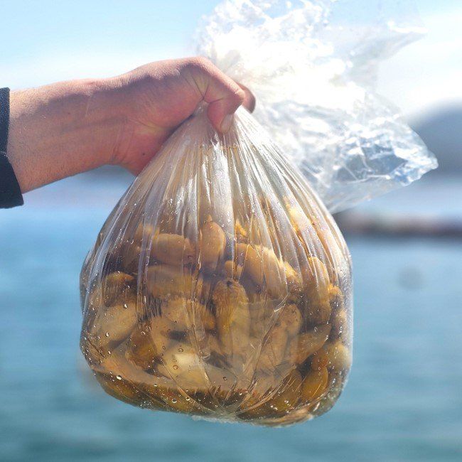 장터 상품 [오만둥이] 썸네일