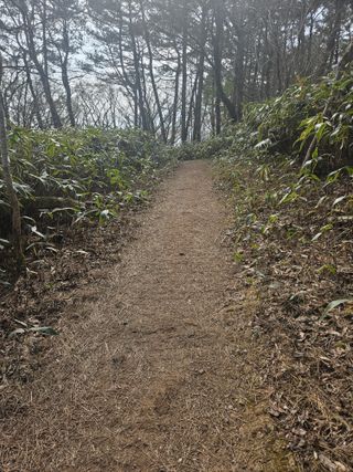 제주 지안이네농장님의 자유주제 · 자유게시판 작성글 사진
