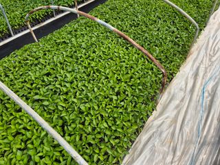 김영진(전남영광)님의 자유주제 · 자유게시판 작성글 사진