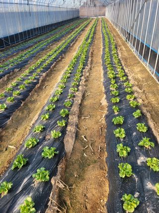 최창남님의 자유주제 · 자유게시판 작성글 사진