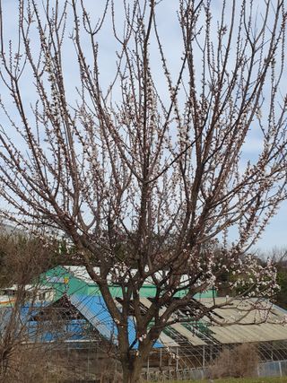 채용수님의 자유주제 · 자유게시판 작성글 사진