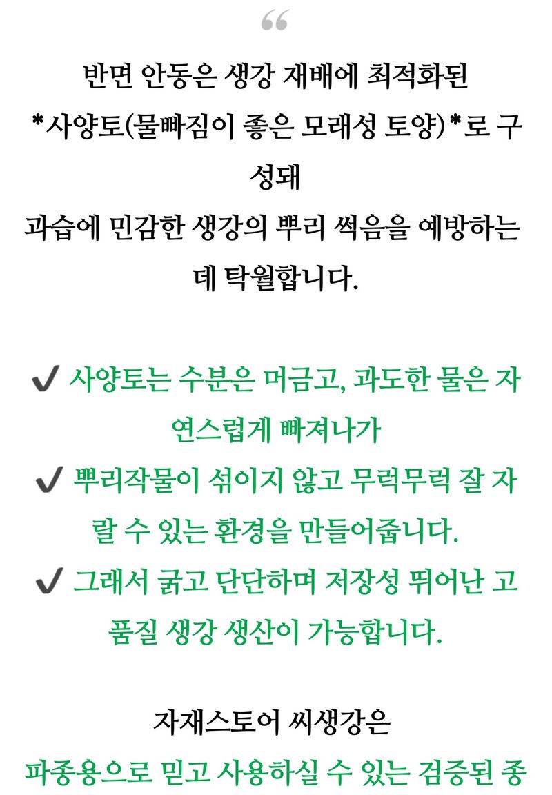 자재스토어님의 장터 판매 상품 [씨생강 생강종자 종자용생강 국산 1kg 3kg 5kg 10kg] 첨부 사진