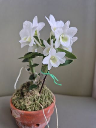 홍승호님의 자유주제 · 사진전 작성글 사진