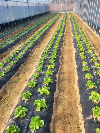 최창남님의 자유주제 · 자유게시판 작성글 사진