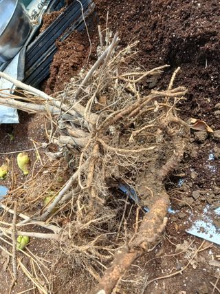 산성골농장님의 자유주제 · 자유게시판 작성글 사진