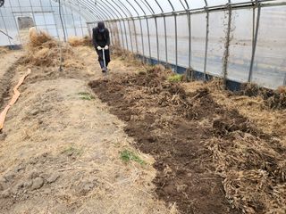 이창신님의 자유주제 · 자유게시판 작성글 사진