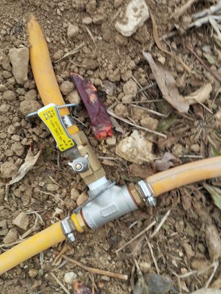 김문성님의 자유주제 · 자유게시판 작성글 사진