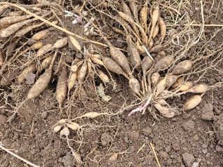 이창신님의 자유주제 · 자유게시판 작성글 사진