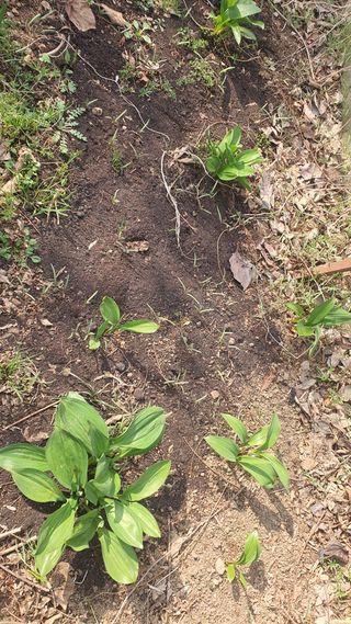 김재량 가을이야.님의 자유주제 · 자유게시판 작성글 사진