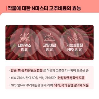 누보농장님의 자유주제 · 자유게시판 작성글 사진