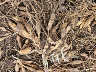 이창신님의 자유주제 · 자유게시판 작성글 사진