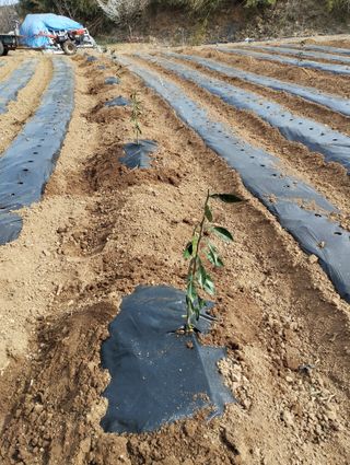 김문성님의 자유주제 · 자유게시판 작성글 사진