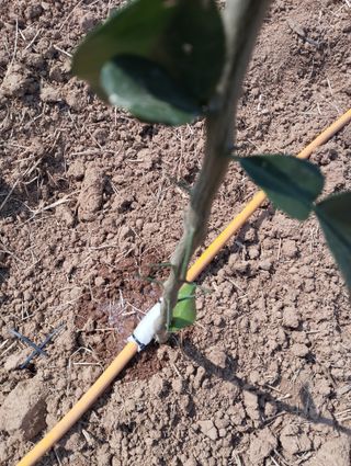 김문성님의 자유주제 · 자유게시판 작성글 사진