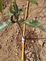 팜모닝 자유주제·자유게시판 게시글 이미지