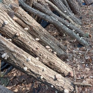 의풍리님의 자유주제 · 자유게시판 작성글 사진