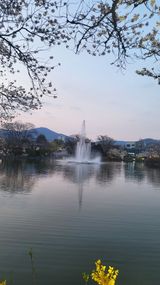 팜모닝 자유주제·사진전 게시글 이미지