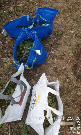 복숭아14303님의 자유주제 · 자유게시판 작성글 사진