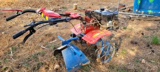 한성님의 자유주제 · 자유게시판 작성글 사진