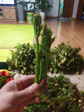 복숭아14303님의 자유주제 · 자유게시판 작성글 사진