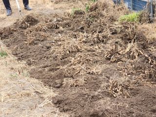 이창신님의 자유주제 · 자유게시판 작성글 사진