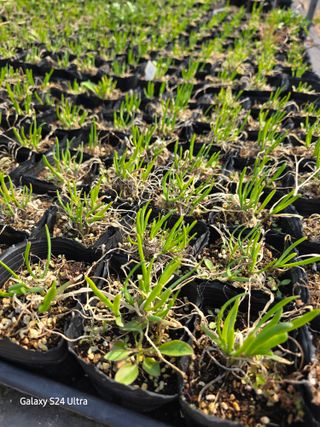 약초원 김종군님의 작성글 사진