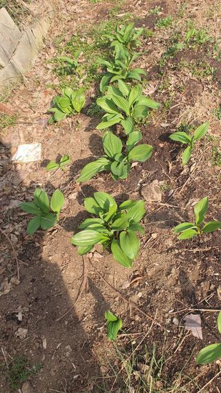 김재량 가을이야.님의 자유주제 · 자유게시판 작성글 사진