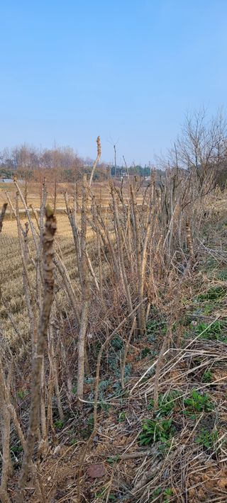 한성님의 자유주제 · 자유게시판 작성글 사진